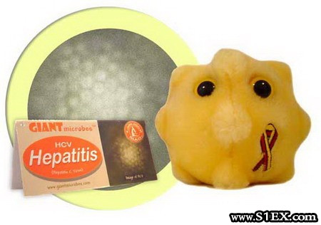 hepatitis