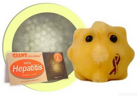 hepatitis